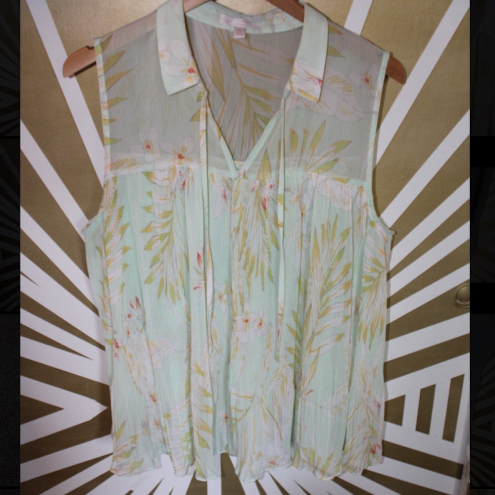Sheer Ruffled Top